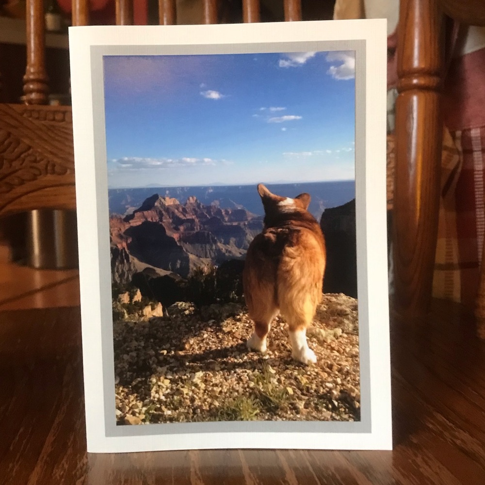 🐶🏜 Blank Notecards (set of 2)